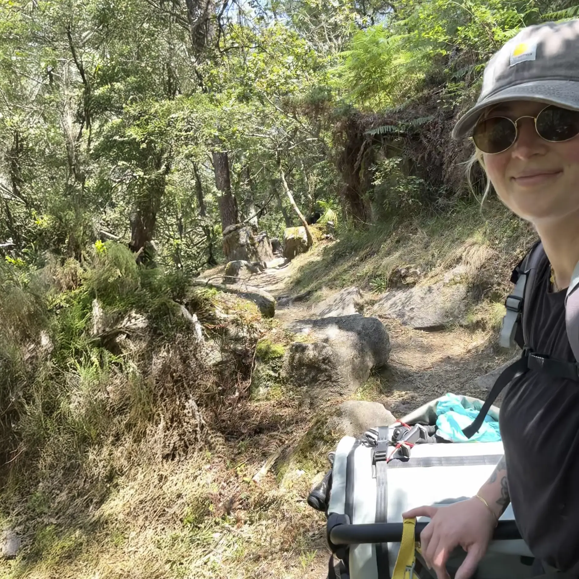 ABC Design Fahrradanhänger Tour